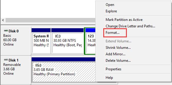 format raw drive under disk management”