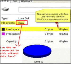 raw file system