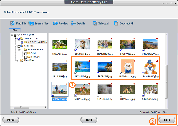 micro sd card recovery free