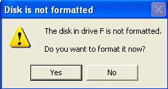 flash drive not formatted